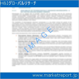 市場と産業調査レポートのイメージ